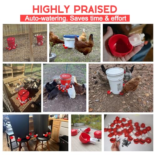 16 Pack Auto Chicken Poultry Waterer Cups Feeder for Diy Chicken Coop Automatic Watering Cup Dispenser Drinker Bebederos De Agua Para Gallinas with Mounting Hole Opener Double Leak-proof Washer - size: 16 Pcs