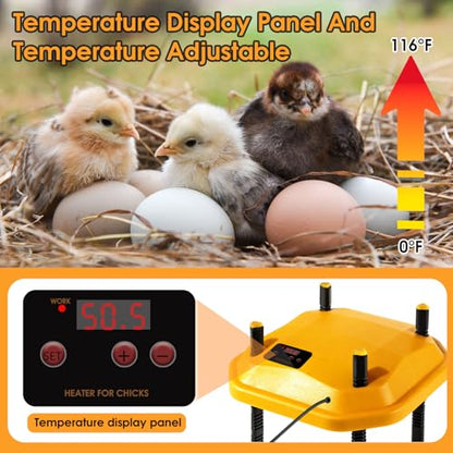 12 * 12inch Chick Brooder Heater Plate with Temperature Adjustable and Display,Adjustable Height & Angle Brooder Box for Baby Chicks Quail Duckling Chicken Heat Warmer Lamp Poultry Habitat Supplies - size: 12.0"L x 12.0"W x 9.0"H