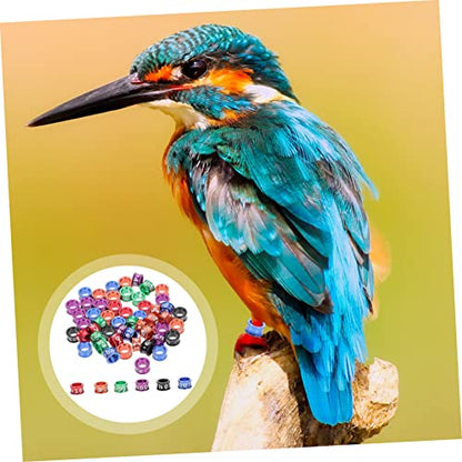Toddmomy 50pcs Metal Bird Foot Numbers for Pigeons Easy Identification Leg Bands for Homing Pigeons Chickens and Other Birds Convenient and Practical for Breeders