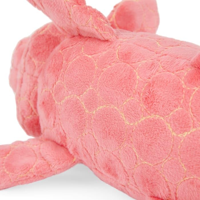 Leaps & Bounds by Petco Tough Pig Dog Toy