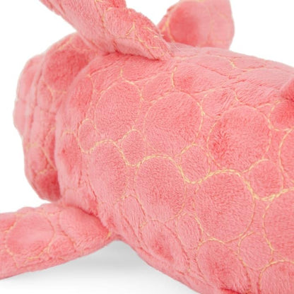 Leaps & Bounds by Petco Tough Pig Dog Toy