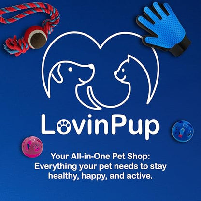 Pet Metal Comb for Dogs and Cats (2-Pack) - Stainless Steel Rounded Teeth for Painless Detangling - Dual-Spacing for Small & Large Pets with Comfort Grip Handle - Professional Grooming Tools - size: Comb