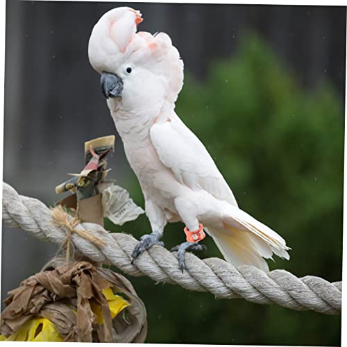 BESPORTBLE 50Pcs Closed Bird Leg Rings Numbered Parrot Pigeon Foot Bands Sturdy Alloy Identification Rings for Small Birds for Breeding and Identification