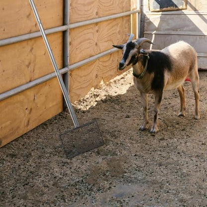 GLEAVI Farm Waste Scooper with Long Handle for Livestock and Pet Housing, Iron and Pp Material, Effortless Operation and Labor-Saving, Durable Soil Sifting Pan for Poultry and Pet Waste