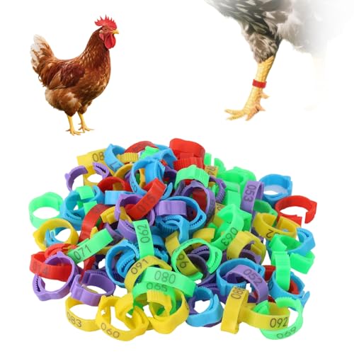100pcs Chicken Leg Bands, 5 Color Adjustable Poultry Leg Rings with Numbers 1-100 Chicken Identification Tag for Ducks Turkey Goose