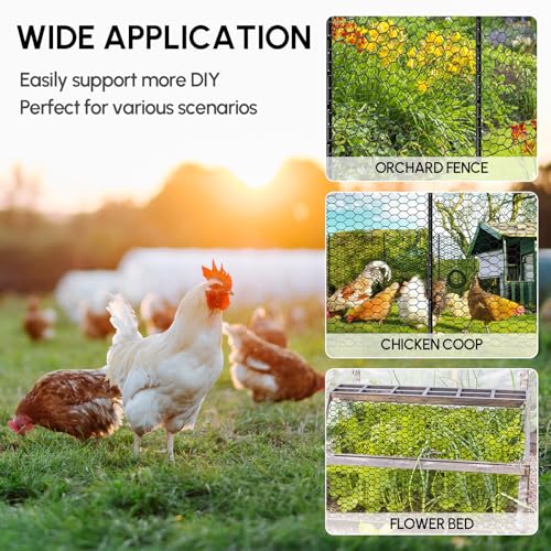 48in x 150ft Chicken Wire, Black Poultry Wire Netting, Hexagonal Galvanized Mesh, Outdoor Anti-Rust Surface Plastic Coating, Garden Fence Animal Barrier for Pet Rabbit Chicken Fencing - size: 48in(H)x150ft(L)
