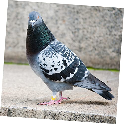 100pcs Bird Pigeons Leg Rings Poultry Leg Bands Meat Pigeon Anklet Easy Clip Rings - color: Yellow