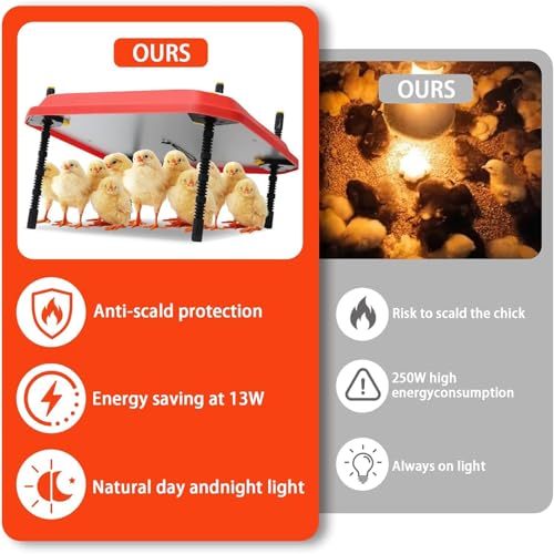 Poultry Heat Lamp for Chicken Coops, Adjustable Height Brooder Plate for 30-40 Chicks, Safety Indicator, 16" x 16" Ideal Heating Solution for Poultry