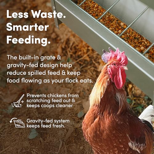 RentACoop Metal Trough Feeder with Lid & Rain Cover – Galvanized Steel, Gravity-Fed, Side View Window, Adjustable Grate for Easy Cleaning – Suitable for Chickens, Ducks, Poultry & More – 25lb Capacity - size: 25LB Capacity