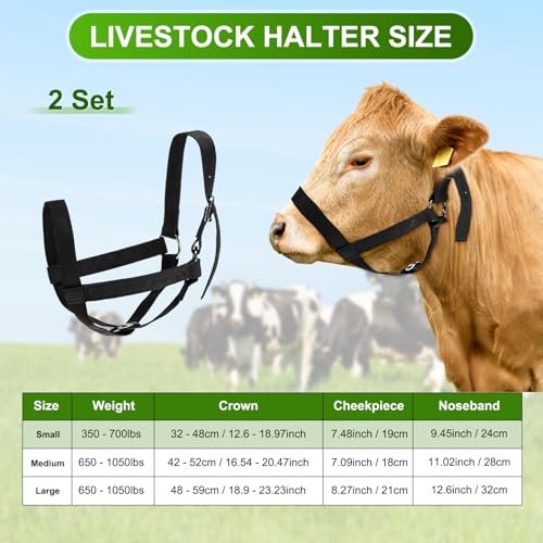 M METERXITY 2-Pack Adjustable Cattle Cow Calf Halter, 12.6"-18.9" Nylon Livestock Cow Halter with Leading Rope for Miniature Horse/Donkey/Goat/Cattle [Black]