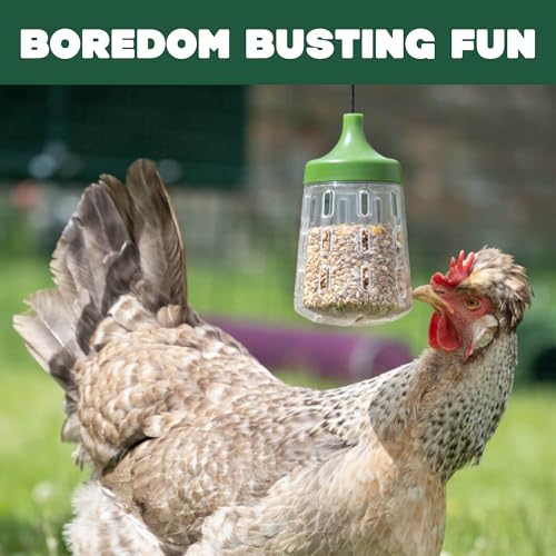 Omlet Pendant Peck Toy | Interactive Slow-Feed Chicken Treat Dispenser | Boredom Busting Enrichment for Hens | Holds About 300g of Feed | Encourages Pecking & Foraging | Available in 2 Designs - style: Pendant