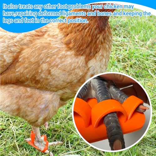 4-Size Chick Leg Splints for Splayed Leg, Soft Poultry Hobble Kit for Spraddle Leg - Adjustable Brace for Baby Chicks & Ducklings (Orange, Includes 2 Extra Straps)