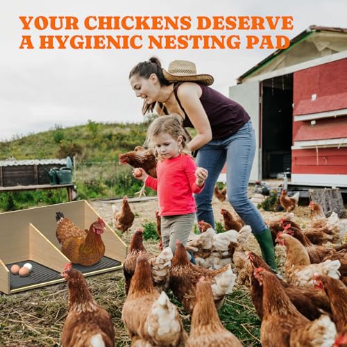 Pawtners Chicken Nesting Box Liners: Washable Nesting Pads for Laying Eggs, 12x12, 10 Pack - color: Grey - 10Pack