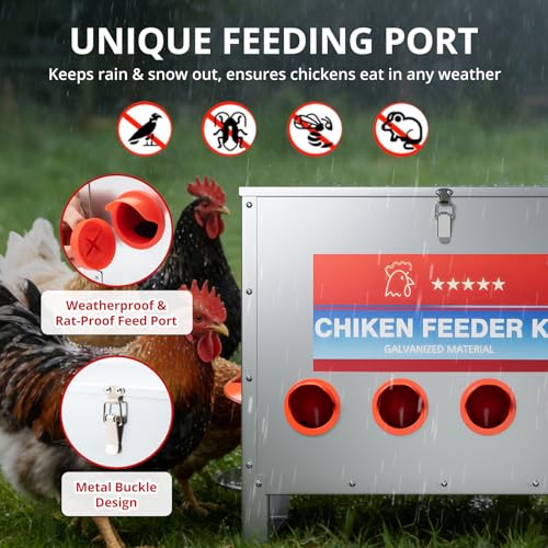 85 lbs Large Automatic Chicken Feeder, No Waste Gravity Fed Poultry Feeder with Latch & Handle, Rat Proof Galvanized Weatherproof Feeder for Chickens, Bantams, Poultry Coop, 6 Ports (Wall-mountable) - color: 6 Ports