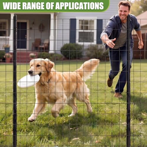 2 Roll 25 ft 50 ft in Total Black Metal Galvanized Welded Wire Fence Garden Animal Fencing Outdoor PVC Coated Wire Mesh for Yard Vegetable Plant Protection Poultry Netting for Chicken, Dog