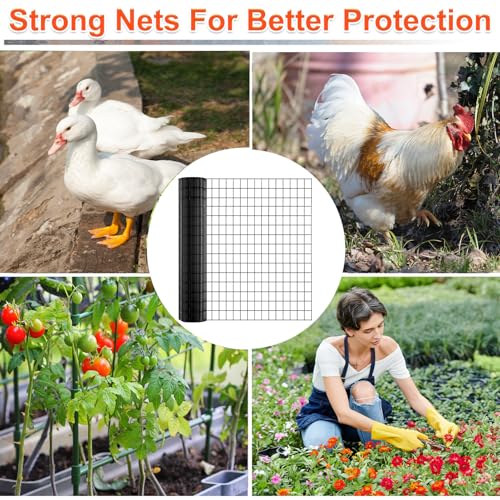 Wire Mesh Roll for Poultry Cages 36IN x50FT- Heavy Duty Fencing Net for Farm Garden Animal Plant Protection, Chicken Wire Fence, Easy to Install Fencing for Rabbits, Birds, Vegetables (Black) - color: Black