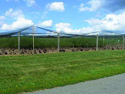 Stromberg's 1" Knotted Netting, Game Bird Netting, Heavy Duty, Chicken Coops, Gardening, UV-Resistant, 85 lb. Break Strength, 25'x50' - style: 1" Netting - 25' x 50'