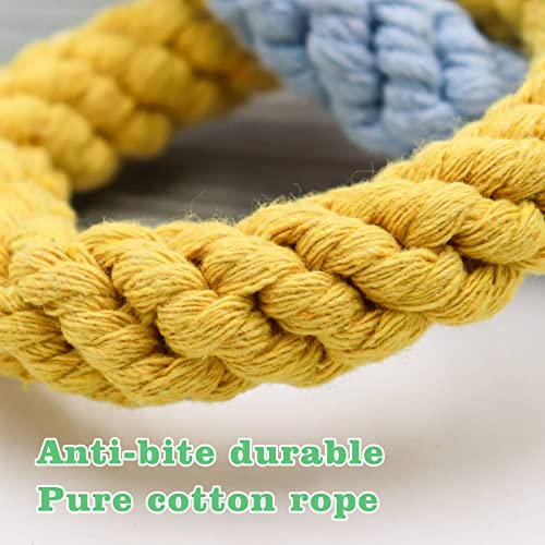 Dnoifne 2 Pack Sugar Glider Hanging Three-Ring Climbing Toys, Colorful Sugar Glider Swing Toys, Pet Activity Structure For Parrot Hamster Chinchilla Squirrel Ferret Rat
