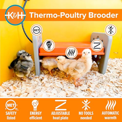 K&H Pet Products Chicken Brooder Heater for Chicks Ducklings, Adjustable Heating Plate for Brooder Boxes, Warms up to 15 Chicks, Chicken Coop Poultry Heating with Safety Light, Small 25 Watts - size: Small 13.5 X 8 X 8 Inches