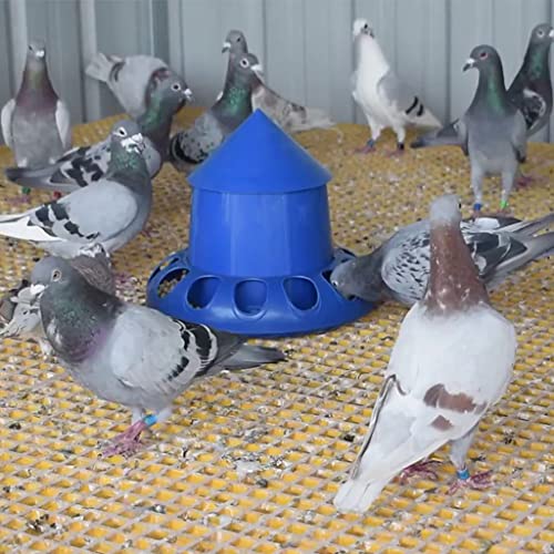 Feeder No Waste Automatic Poultry Food Dispenser House Design with Cover Hanging Poultry Food Contain Chick Feeders for Brooder No Waste - size: S