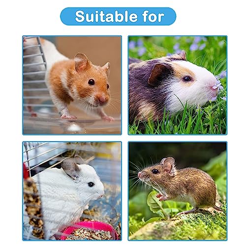 Small Pet Foraging Toy for Pigs Wooden Feeder Feeding Toy Small Animal Training Treats Feeder