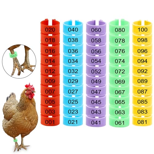 100 Pcs 16mm Chicken Leg Bands with 5 Colors Colorful Numbered Readable Chicken Identification Leg Bands Notched Ring Design Poultry Leg Bands Clip on Leg Rings for Ducks Bantam Pigeons - size: 16mm