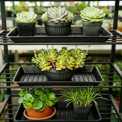4 Pack Plant Saucer Tray 6.5 x 13 Inch, Heavy Sturdy Long Narrow Plastic Plant Drainage Tray No Holes, Drip Tray for Pots, Seed Starter Growing Tray, Black - color: Black, size: 13" x 6.5" x 1.2" (4pack)