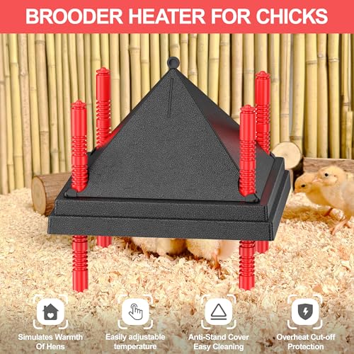Chick Brooder Heating Plate with Anti Stand Cone, Adjustable Height Brooder Heater for Chicks, Downward Heat Distribution for Outdoor Barns & Coops (10" x 10" with Temp. Adjustments & Black) - size: 10" x 10" with Temp. Adjustments