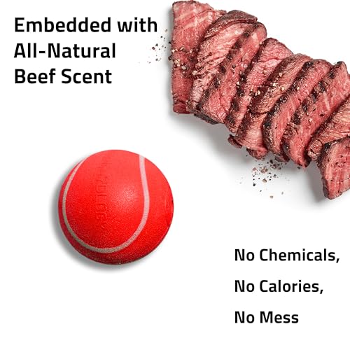 Playology Dog Toys | Squeaky Chew Ball for Large Dogs | Beef Scented Jumbo Dog Ball | Bouncy Floating Chew Toys for Fetch - size: Jumbo, style: Beef
