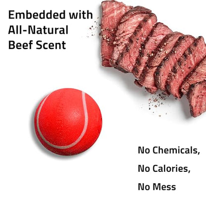 Playology Dog Toys | Squeaky Chew Ball for Dogs | Beef Scented Medium Dog Ball | Bouncy Floating Chew Toys for Fetch - size: Medium, style: Beef
