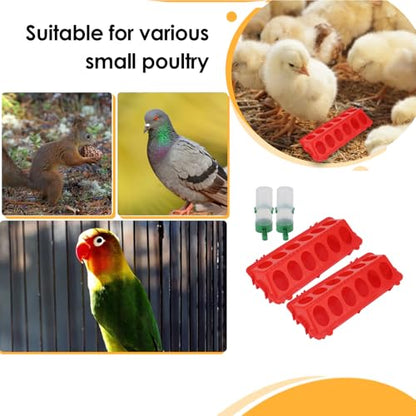 HEEPDD Plastic Chick Feeder and Waterer Kit, 2 Pack Small Poultry Bird Drinking Feeding Set with 12 Holes, 140ML Capacity for Baby Chicks Duck Quail