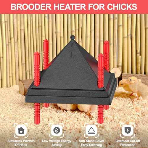 Chick Brooder Heating Plate with Anti Stand Cone, Adjustable Height Brooder Heater for Chicks, Downward Heat Distribution for Outdoor Barns & Coops (12" x 12" Black) - size: 12" x 12"