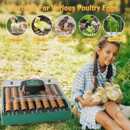 Egg Incubator for Chicken Eggs, Max 72 Egg Large Capacity with Automatic Egg Turner and Humidity Control, Egg Hatching Incubator for Chicken, Quail, Duck with 360° Clear View for Farm & Classroom