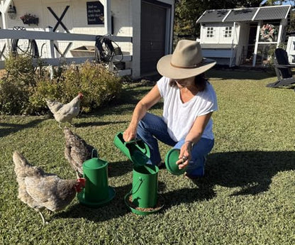Zylina Powder Coated Green Metal Chicken Waterer 1 Gallon/Feeder 9 lbs/Scoop Combo Pack