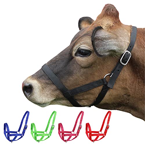 Derby Originals Adjustable Nylon Livestock Cattle Halters - color: Black, size: X-Large (1400-2000+lbs)