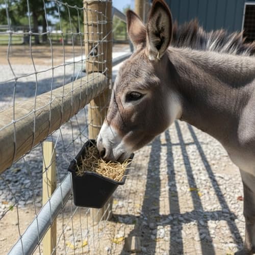 4 Pack Hanging Goat Feeder & Mineral Trough, 5 Qt Fence Feed Trough for Goats, Sheep, Ducks & Chickens, Plastic Farm Feed Bucket with Clips, Zip Ties & Screws, for Grain, Grit & Minerals - color: 4 Pack