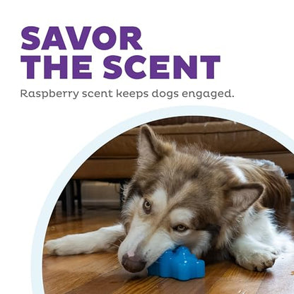 Outward Hound Gummiez Bear Dog Toy & Treat Stuffer, 4.7″ x 3″ Blue Raspberry-Scent Interactive Chew for Dogs, Promote Healthy Teeth, Gums & Mental Enrichment, Reduce Boredom & Support Dental Health - color: Bear