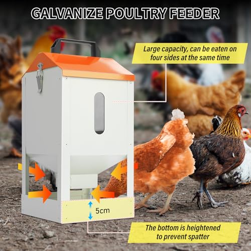 Galvanized Wall Mount Chicken Feeder No Waste Hanging Chicken Feeder with Lid Metal Automatic Poultry Feeder Trough Food Dispenser No Spill Mess Free for Chicken Duck Quail Geese Turkey