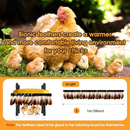 10 * 10inch Chick Brooder Heater Plate with Temperature Adjustable and Display,Adjustable Height & Angle Brooder Box for Baby Chicks Quail Duckling Chicken Heat Warmer Lamp Poultry Habitat Supplies - size: 9.0"L x 10.0"W x 10.0"H