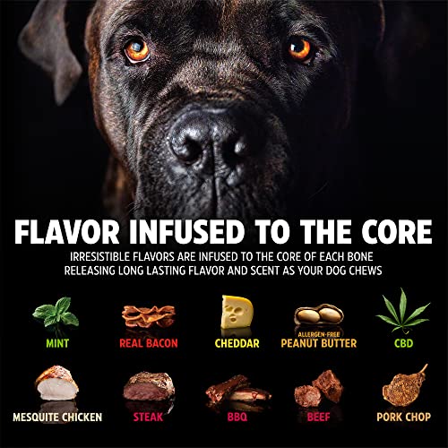 Pet Qwerks Pigs Ear BarkBone - Nylon Dog Bone for Aggressive Chewers - Bacon Flavor - 4.5" - size: 1 Count (Pack of 1)