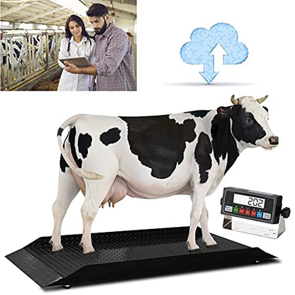 Prime 5000lb Livestock/Animal/Cattle Alleyway Scale / 96" Long/with Auto Recording Software