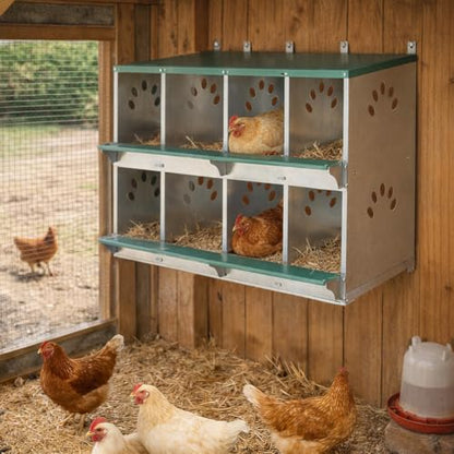Wall-Mounted 8-Compartment Chicken Laying Box, Galvanized Steel Metal Nesting Box with Ventilated Design, Easy for Egg Collection and Assembly