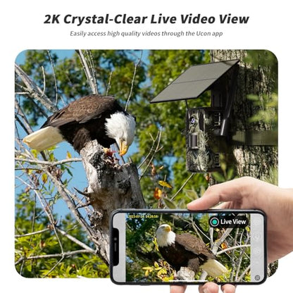SEHMUA Trail Camera 2 Packs, Cellular Trail Cameras 4G LTE Live View with Built-in SIM Card 0.2s Trigger Speed Game Camera with Night Vision Motion Activated Waterproof Trail Cam - size: 2K Live View 2packs