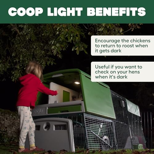 Omlet Coop Light for the Automatic Chicken Coop Door Opener | Gentle Hen House Lighting Encourages Flock to Roost | Poultry Chicken Coop Accessories | Light Only – Door Opener Sold Separately