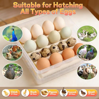 Egg Incubator for Hatching Eggs 16 Egg Chicken Egg Incubator with Automatic Egg Turning Precise SJZ SUN RUN Temperature Display for Chicken Coop Duck Goose & Quail Eggs