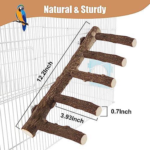 Parrot Wood Stand, Parrots Perch for Cage, Natural Bird Ladder for Small Medium Parrot, Parakeets, Cockatiels, Conures, Hamster(12.2 inch)