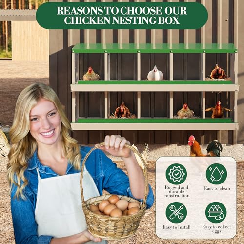Chicken Nesting Box,10 Compartments Galvanized Steel Metal Chicken Laying Box with Roll Out Egg Collection,Wall Mount Chicken Nesting Boxes,Easy Egg Collection, Hen Roosting Boxes - color: Green, size: 10 Holes