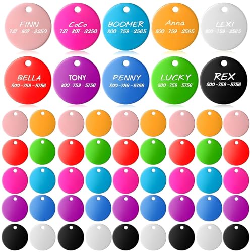 Sadnyy 100 Pcs Blank Dog Pet Tags Bulk for Engraving 25 mm Aluminum Round Discs Smooth Metal Colorful Double Stamping Tag Pendants with Hole for DIY Craft Pet Charm Supplies