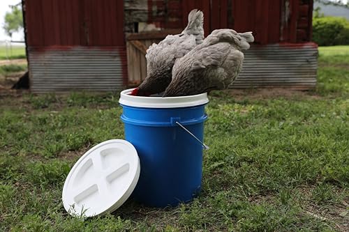 Gamma2 Seal Bucket Lid Food Grade Pet Food Storage Container Twist Lock Lid, 10" Diameter Fits Most 2 Gallon Buckets, White, Made in USA