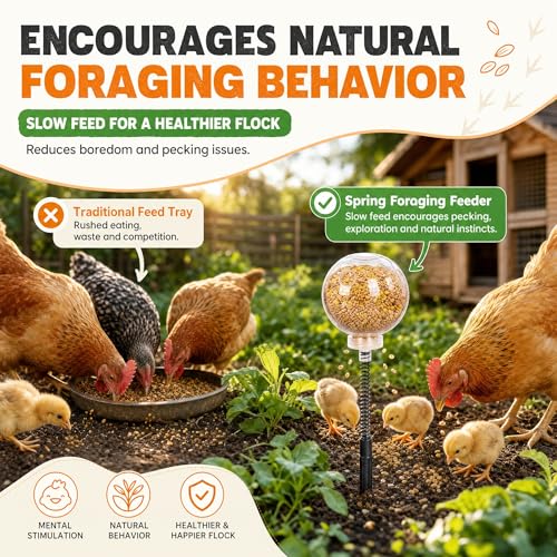 2 Pack Chicken Pecking Toys, Transparent Slow Feed Enrichment Toy, Chicken Swing Feeder with Spring & Ground Stake, Coop Accessories for Hens Poultry Duck Birds Parrots